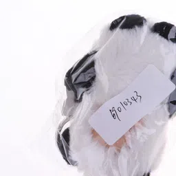 calandis CALANDIS™ Cute Sleeping Baby Doll Key Chain Keyring Bags Car Charm Pendant White Black | Modern | Clothes & Accessories | Dolls image 2