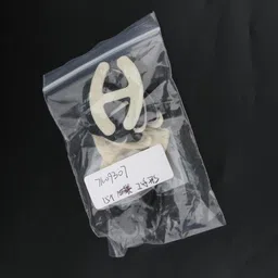 the style sutra 15 Pieces Bra Strap Clips Cleavage Buckle Clasp Holders Multicolor Letter H | Womens Clothing |Intimates & Sleep |Breast Forms Enhancers image 4