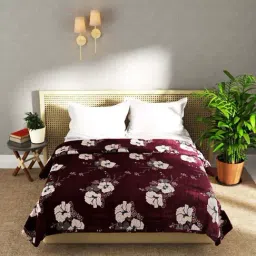 Bianca Nautical Maroon Microfiber 250 GSM Ultra Soft Double Blanket-image-40