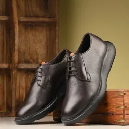 Hitz Men's Brown Derby Shoes-picture-21
