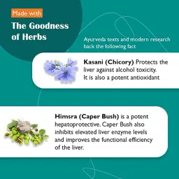 Himalaya Liv.52 Tablets - 100 Counts | Hepatoprotective, Potent Antioxidant Property image 3