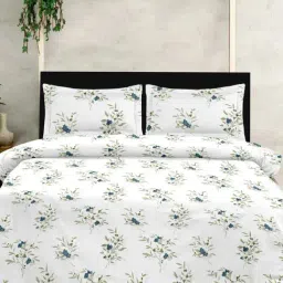 Ariana FLORENCE Blue & White Cotton 210 TC Double Size Bedsheet With 2 Pillow Covers-image-71