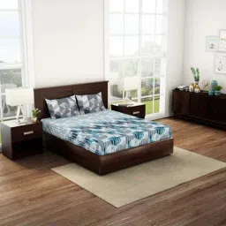 Spaces Blue & Grey Cotton 144 TC Double Bedsheet with 2 Pillow Covers-image-29