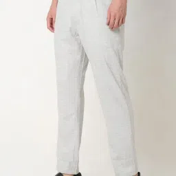 Spykar Light Grey Slim Fit Pleated Trousers image 3