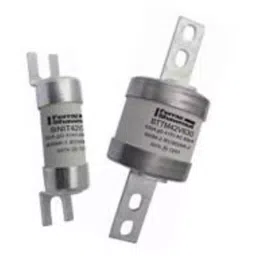 Mersen Offset Tag Fuse 25 A 250 V DC, 550 V AC F1, Z1019221 - BNS55V25M32 (Pack of 10 Pcs)-picture-34