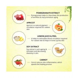 Aryanveda APS Facial Kit (Tanend) image 4