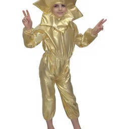 Kaku Fancy dresses Kids Nature Theme Sun Golden Costume-picture-6