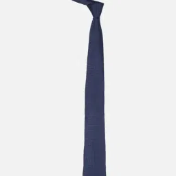 Allen Solly Navy Embroidered Tie image 2