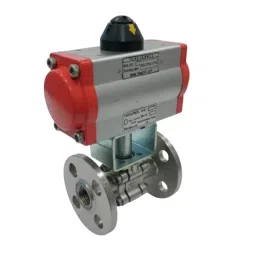 Quickair Ball Valve With Spring Retainer 1 inch (25.4 mm) Stainless Steel 304 CF8, A300RB-25-02-02-07-01-00-02-picture-10