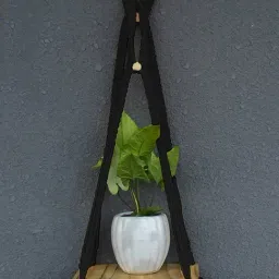 Gathari Macram¿ Black Pine Wood Wall Hanging Shelf-picture-13