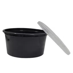 GENERIC Rectangle Plastic Container 750 ml (Pack of 300)-image-40