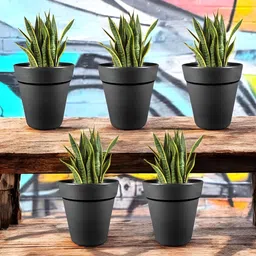 GARDEN'S NEED 5-Pcs Black Eco-Friendly Excal Planters image 4