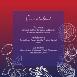 MONKEY TROOPERS Overwhelmed Body Mist for Women and Men | Skin Friendly, Refreshing and Long Lasting Body Mist (250ml) image 2