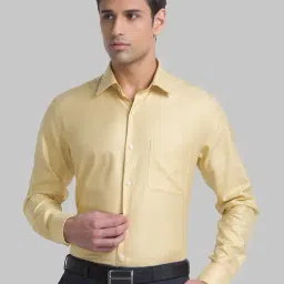 Raymond Yellow Regular Fit Self Pattern Shirt-image-26