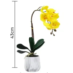 Tayhaa White & Yellow Plastic Orchid Artificial Plant with Pot image 4