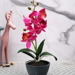 Tayhaa Green & Pink Plastic Orchid Artificial Plant with Pot-picture-49