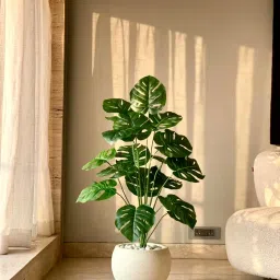 Mason Home Artificial Midas Monstera Plant - 3 Feet-image-1