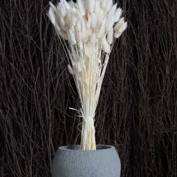 Homesake White 10 Pieces Artificial Flower-image-48