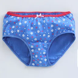 Honeyhap PremiumCotton Elastane Panties with Anti-MicrobialFinish Pack of 2 - Pink Blue image 4