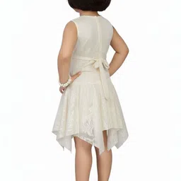 Aarika Floral Net A-Line Dress image 2