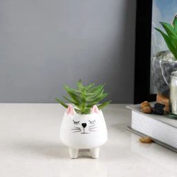 Tayhaa White & Green Plastic Succulent Artificial Plant with Pot-picture-44