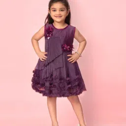 Aarika Kids Dark Purple Embellished Frock-picture-31