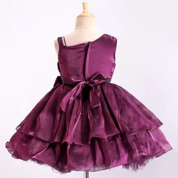 Bluebell Tissue Sleeveless Party Frock With Embellished & Bow Applique- Wine image 3