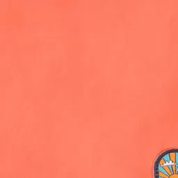 Pantaloons Junior Boys Regular Fit Shorts image 2