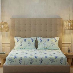 Urban Space New Serene Whisper Mint Blue Cotton 200 TC Bedsheet With 2 Pillow Cover-picture-14