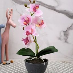 Tayhaa Grey & Pink Plastic Orchid Artificial Plant with Pot-picture-42