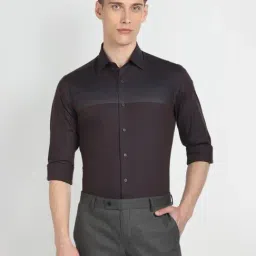 arrow new york Arrow Newyork Brown Cotton Slim Fit Striped Shirt-picture-41