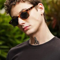 Resist Eyewear Brown Wayfarer uv protected Unisex Sunglasses image 3