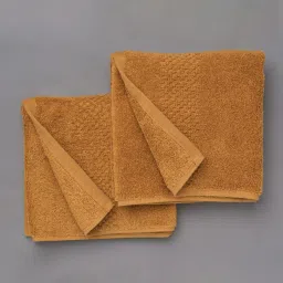 Spaces Hygro Solid Brown 600 GSM Cotton Hand Towel image 3