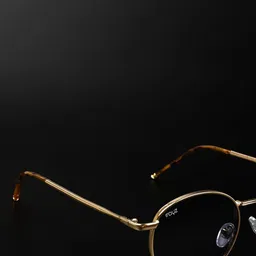 Irayz Unisex UV Protected Round Sunglasses Royal Pento- GLD-BLK image 3