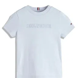Tommy Hilfiger Boys Blue Solid Regular Fit T-Shirt-picture-12