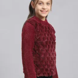 Monte Carlo Kids Wine Self Design Full Sleeves Sweatshirt image 4