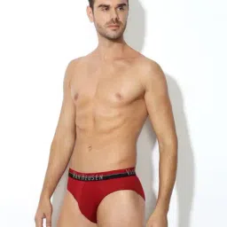 Van Heusen Regular Fit Anti Bacterial Colour Fresh Solid Briefs - Pack of 2 image 4