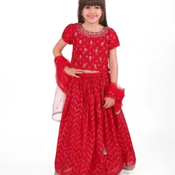Babyhug Woven Half Sleeve Foil Floral Printed Choli Lahenga Set with Dupatta - Red-image-36
