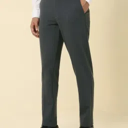 Allen Solly Grey Regular Fit Textured Trousers image 3