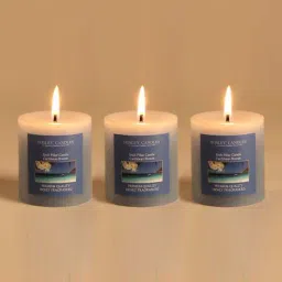HOSLEY Blue Wax Pillar Candle - Set of 3-image-36