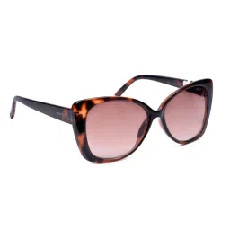 Levi's Light Brown Cat Eye UV Protection Sunglasses For Women image 3