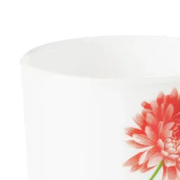 Larah by Borosil Multicolor Ceramic Tea & Coffee Mug - Set fo 6 180ml image 3