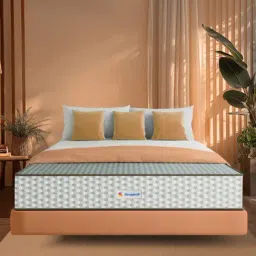 Sleepwell Dual Pro Profiled Foam Reversible, Double Size, Gentle and Firm, Anti Sag Foam Mattress-image-21