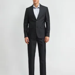 Arrow Grey Slim Fit Texture Two Piece Suit-picture-11