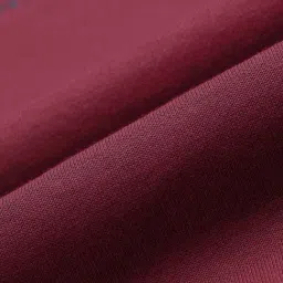 U.S. Polo Assn. Red Cotton Regular Fit Colour Block Sweatshirt image 5