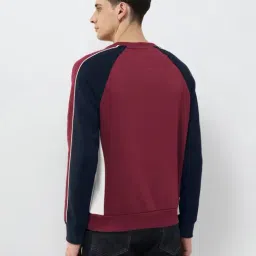 U.S. Polo Assn. Red Cotton Regular Fit Colour Block Sweatshirt image 2