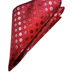 VOICI Printed Polka Dots Pocket Square Coat Hanky-picture-24