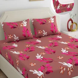 Dreamscape Brown & White Floral 180 TC King Bedsheet with 2 Pillow Covers-image-65