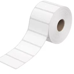 SKY GLOBAL Chromo Label Box 100x70 mm 700 Label White (Pack of 24 Roll)-picture-21