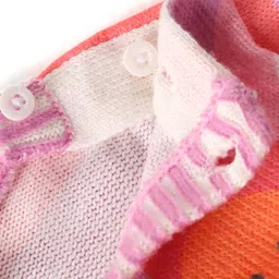 Babyhug Knitted Full Sleeves Pullover Sweater with Floral Design - Multicolour image 5